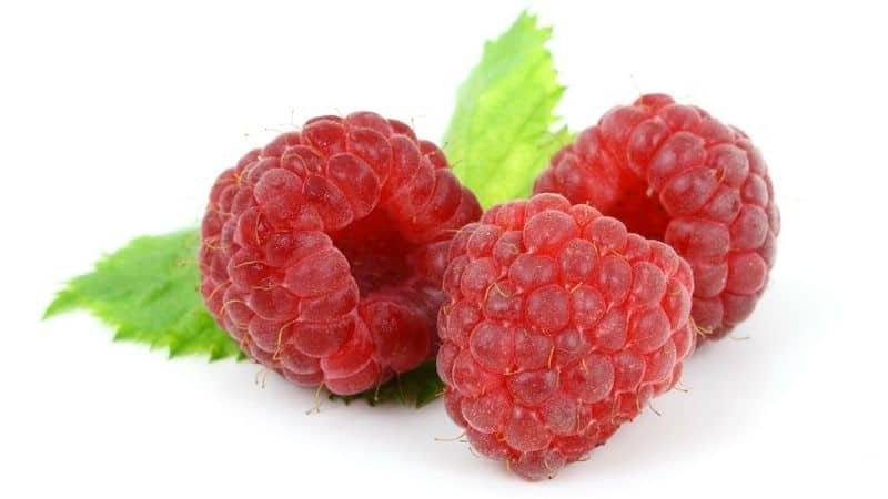 Raspberry Leaf