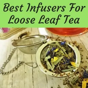best tea infusers for loose leaves