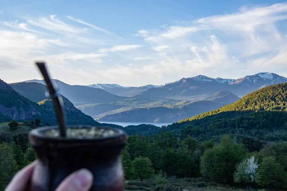 yerba mate in the mountains