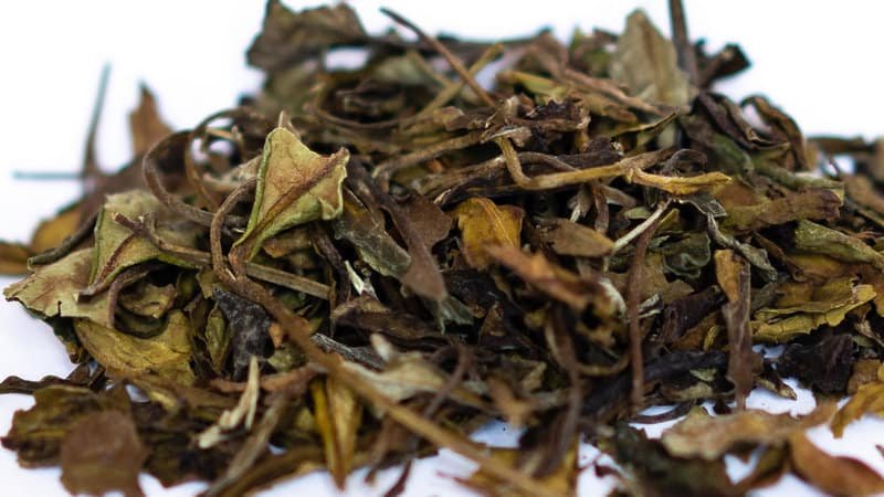 White Peony Tea Leaves