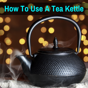 kettle that you can set the temperature