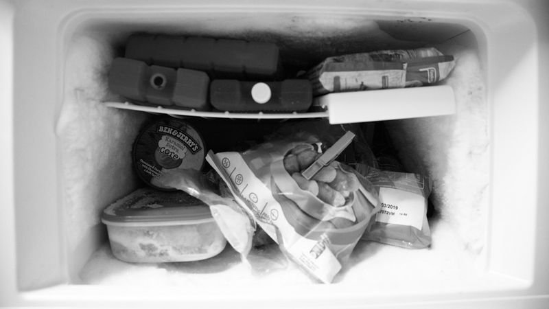 freezer full of things