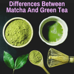 Differences matcha vs green tea