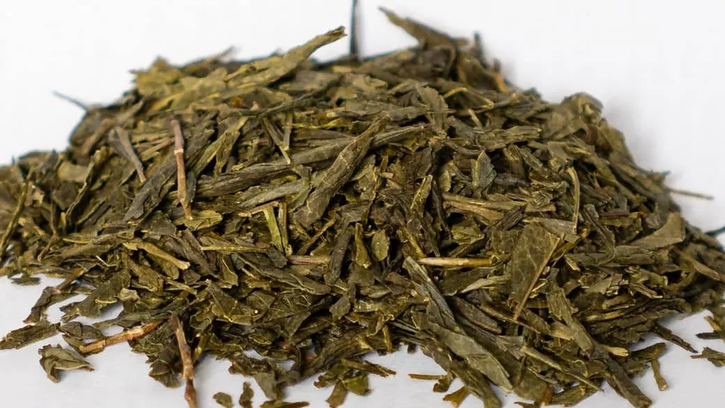 Bancha Tea Green Leaves