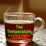 Tea cup at ideal temperature