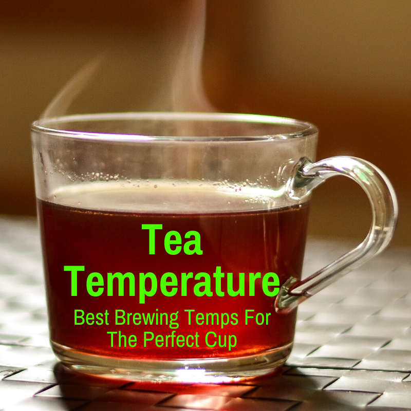 Tea cup at ideal temperature 