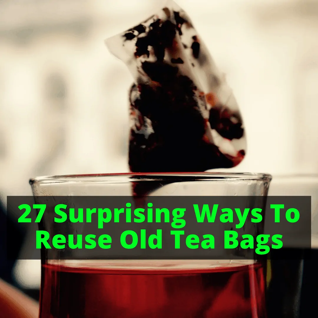 What To Do With Used Tea Bags