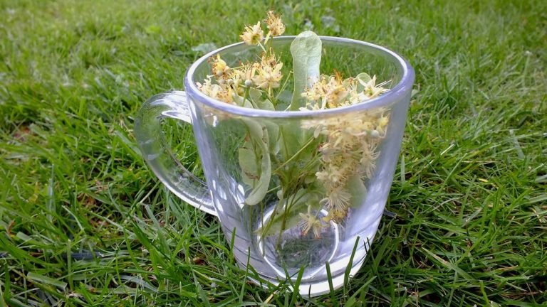 Can You Drink Too Much Herbal Tea? (And What Happens?)