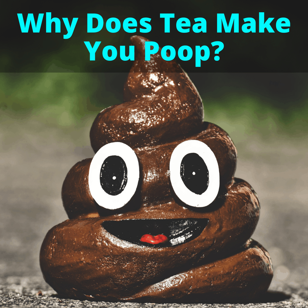 Why Does Tea Make You Poop