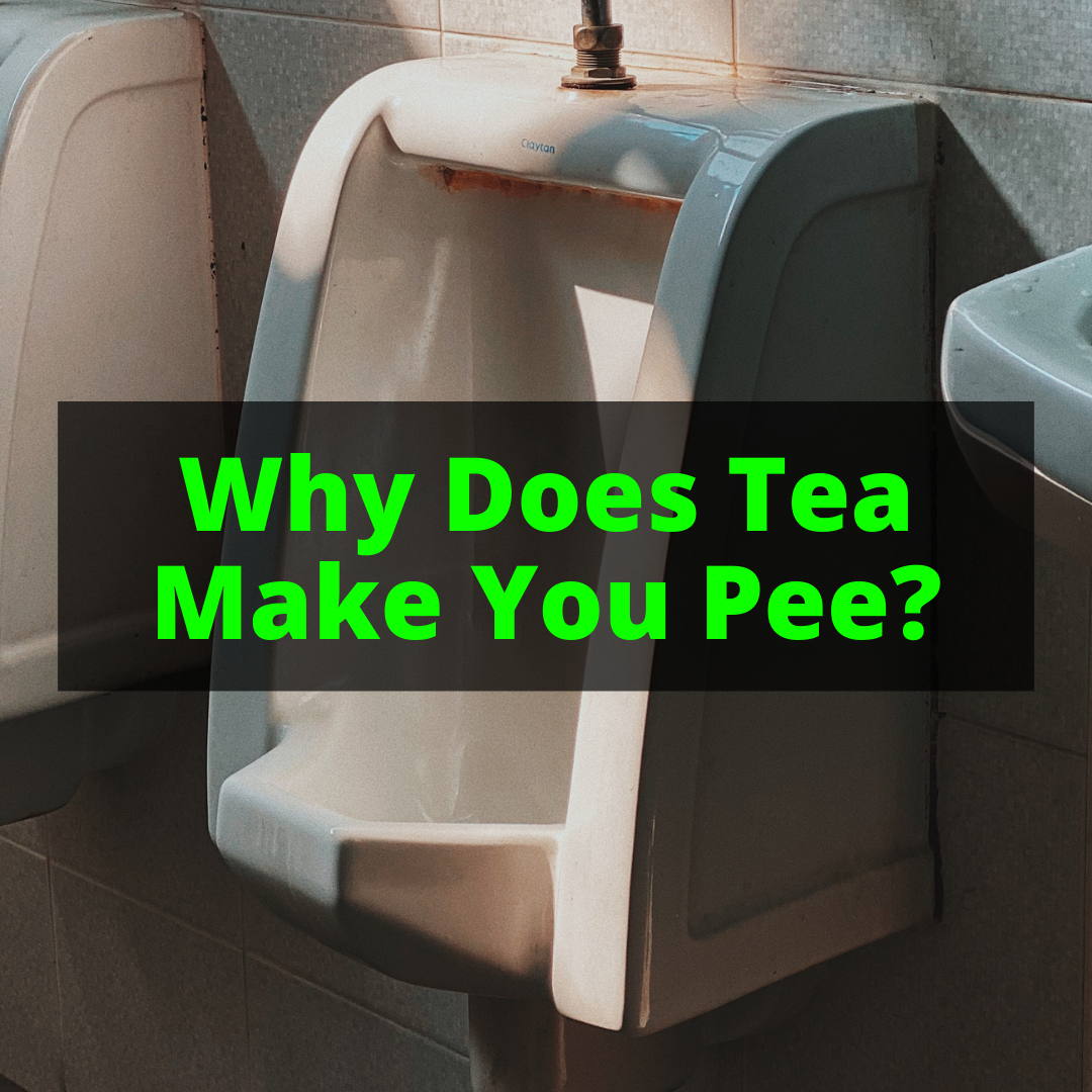 Why Does Tea Make You Pee? – Plum Deluxe Tea