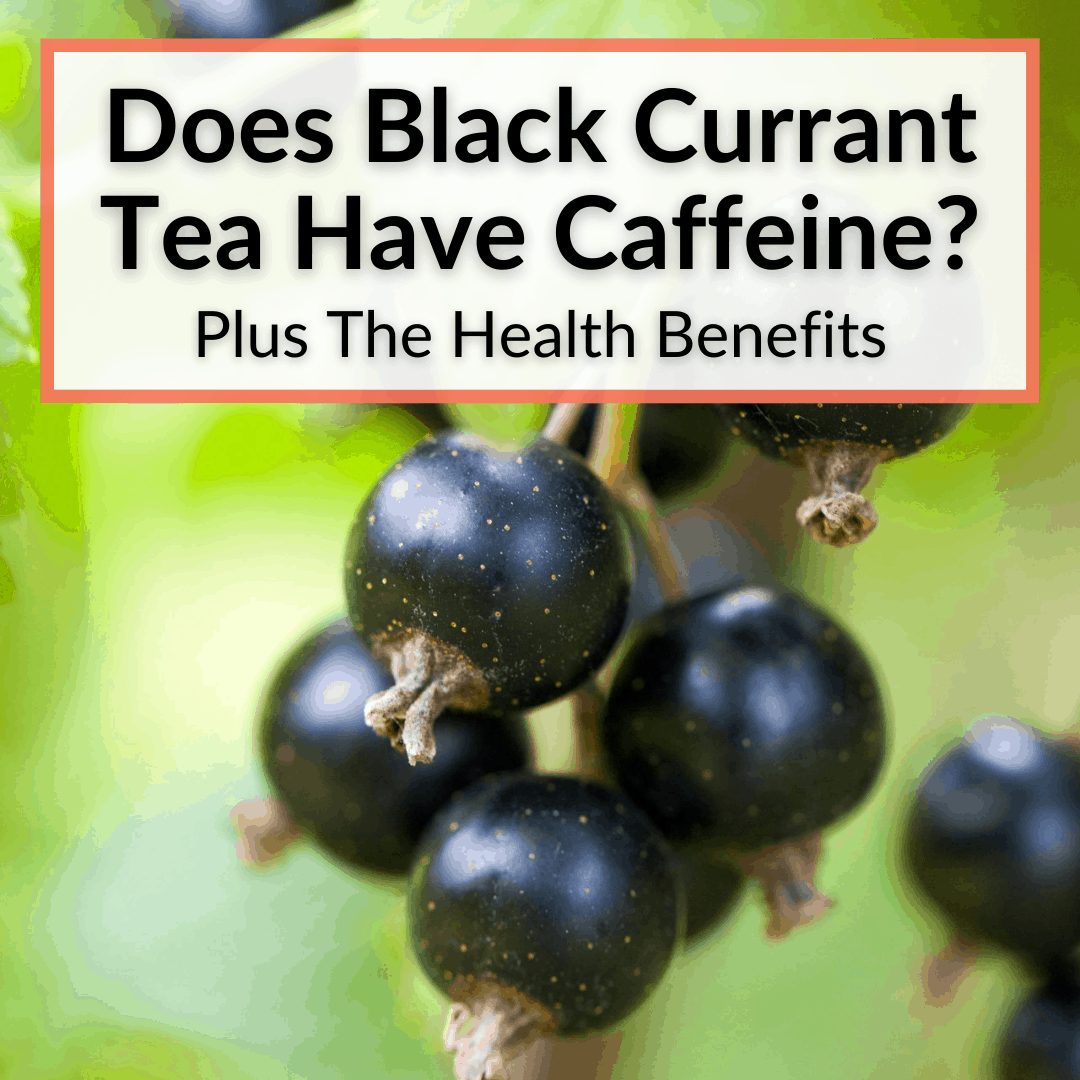 Does Black Currant Tea Have Caffeine