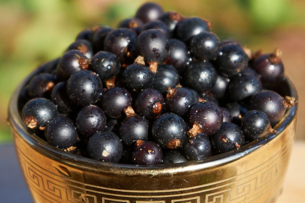 bowl of black currants