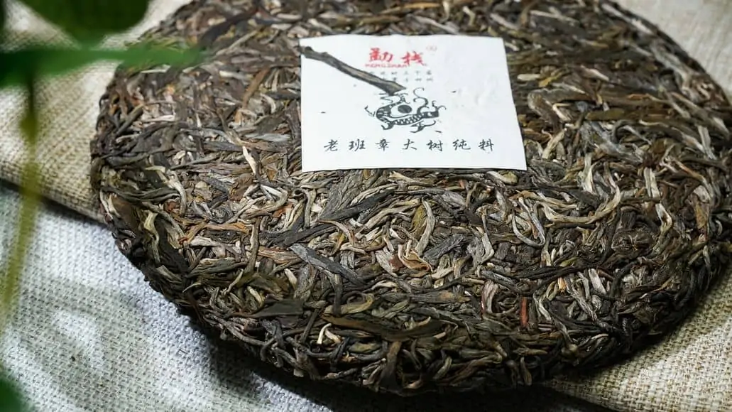 disc of puerh tea