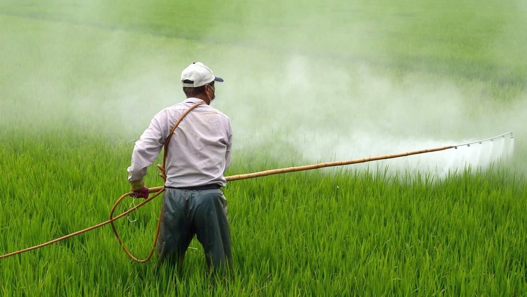 farmer spraying pesticide