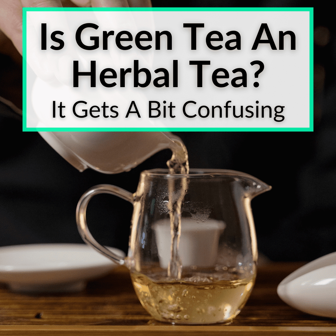 Is Green Tea An Herbal Tea