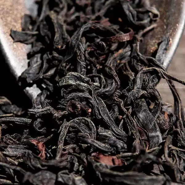 Teavivre Nonpareil Yunnan Dian Hong Ancient Wild Tree Black Tea