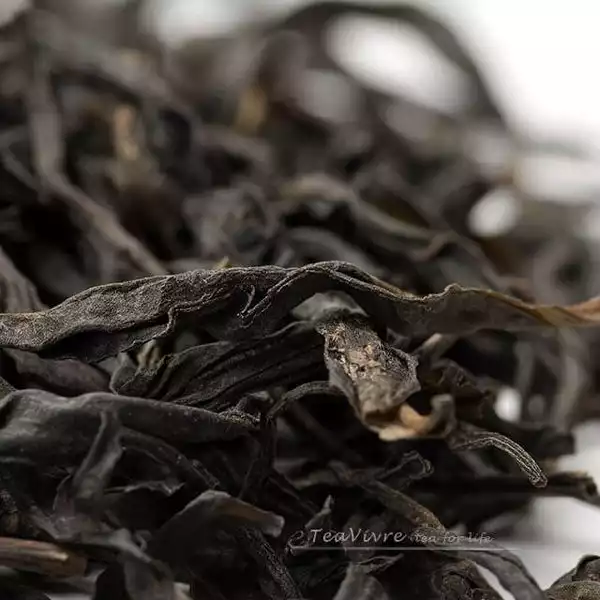 Teavivre Da Wu Ye (Big Dark Leaf) Phoenix Dan Cong Oolong Tea