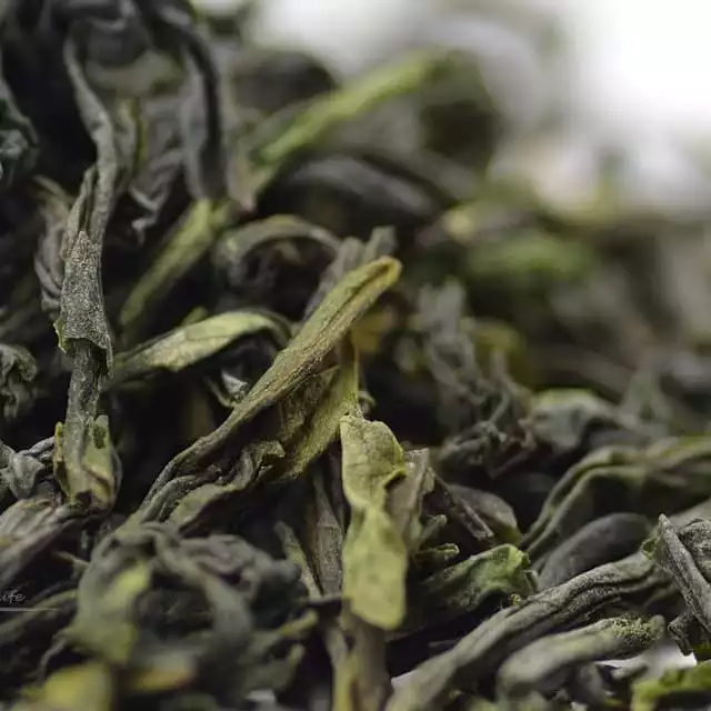 Teavivre Lu An Gua Pian Green Tea