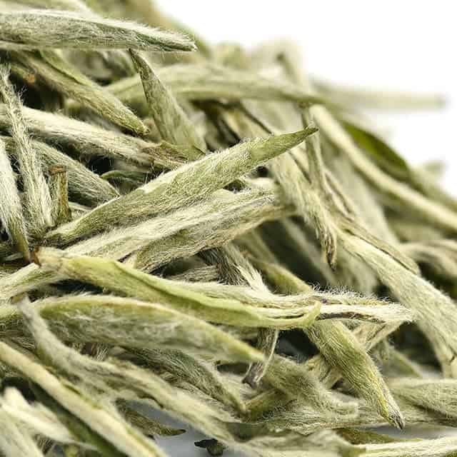 Teavivre Organic Nonpareil Silver Needle White Tea (Bai Hao Yin Zhen)
