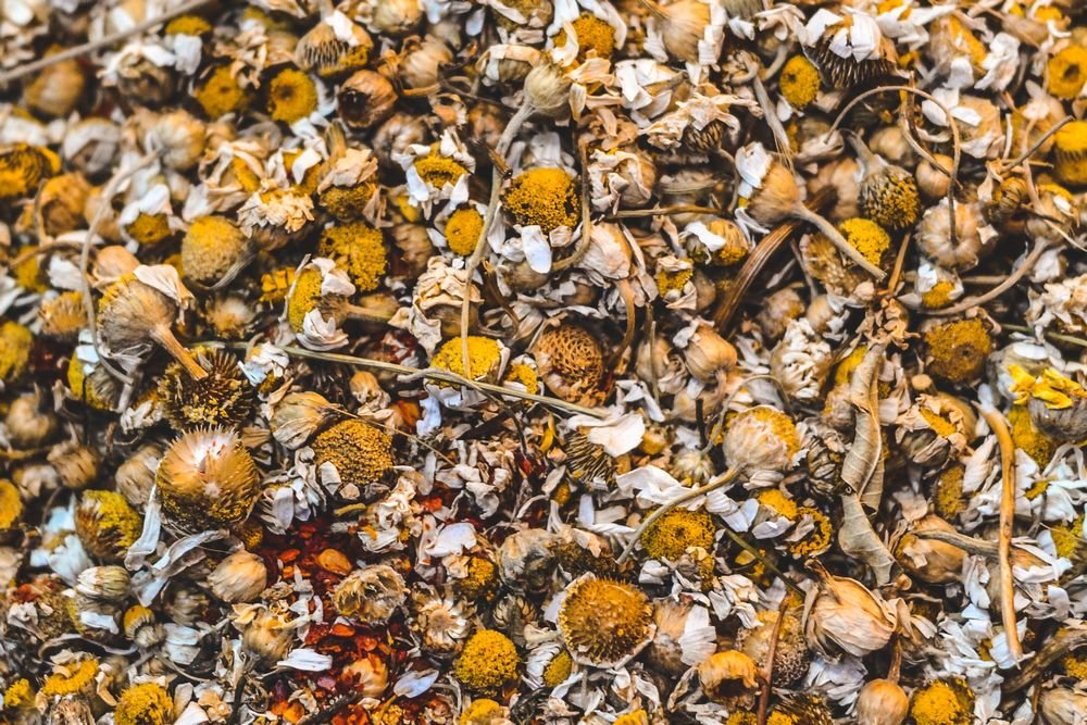 dried chamomile blossoms for a caffeine-free tea