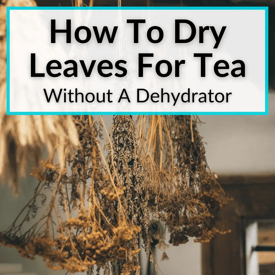 How To Dry Leaves For Tea