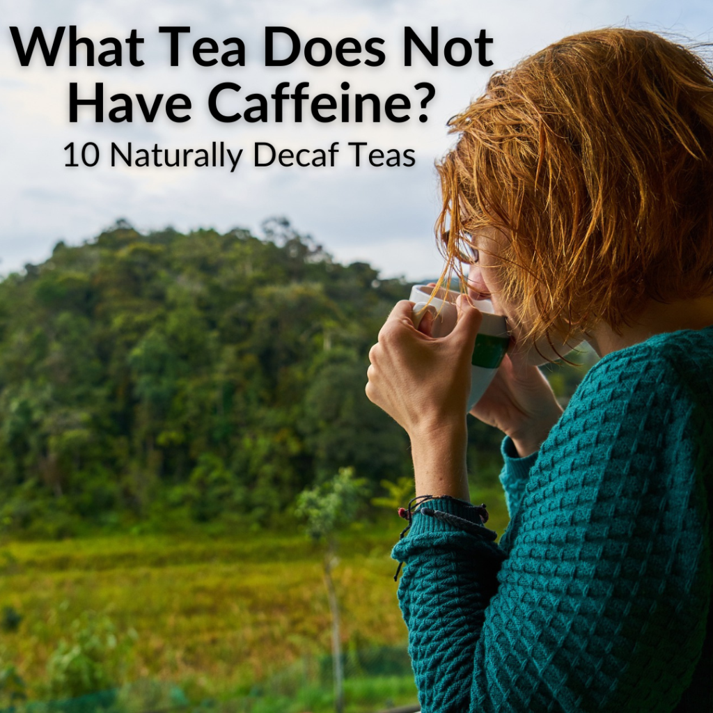 What Tea Does Not Have Caffeine? (10 Naturally Decaf Teas)