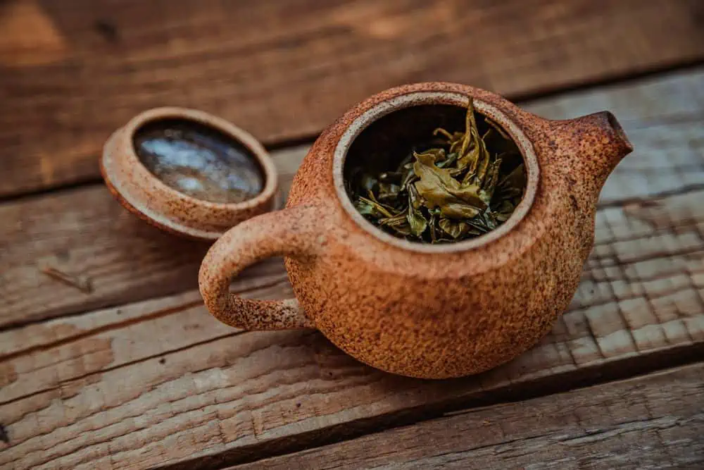 green tea leaves in pot