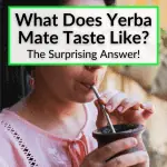 What Does Yerba Mate Taste Like