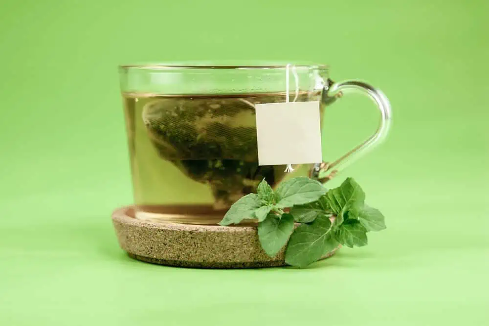 green tea bag steeping in glass