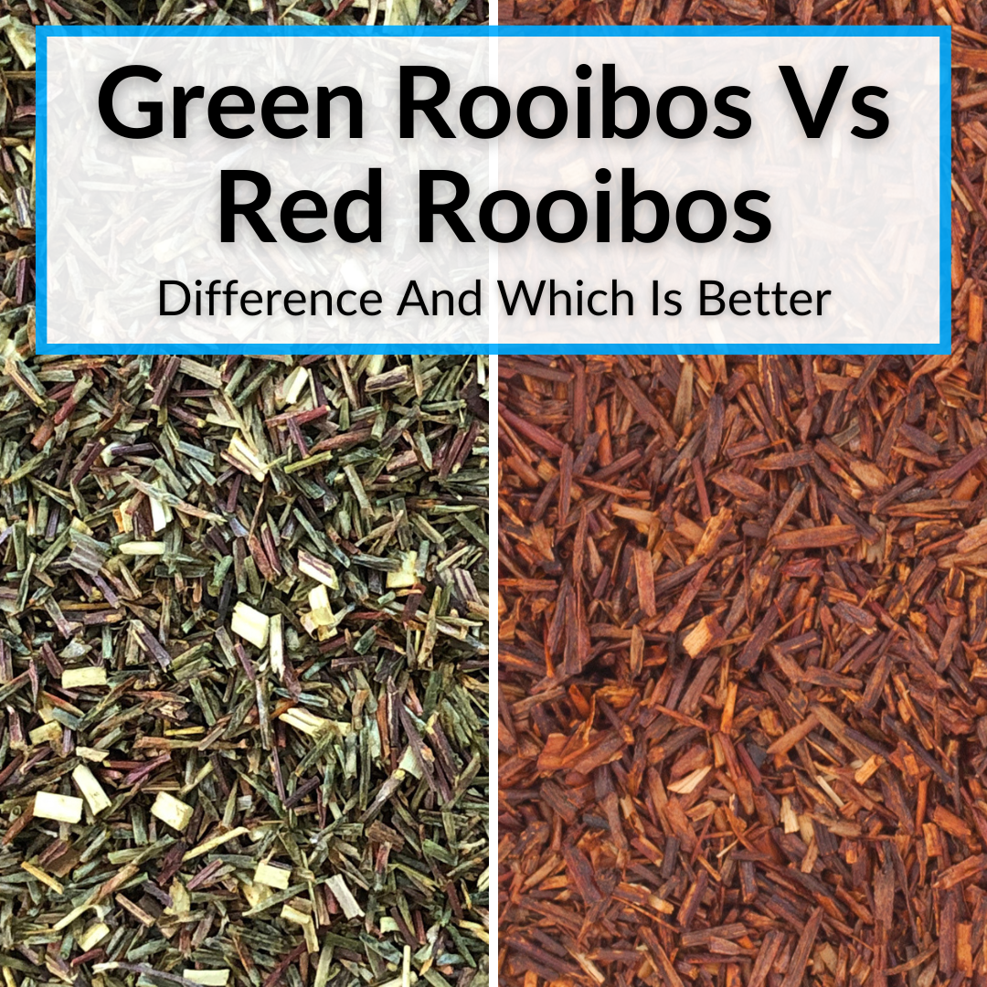 Green Rooibos Vs Red Rooibos (Difference And Which Is Better)