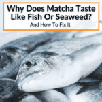 Why Does Matcha Taste Like Fish