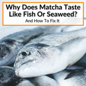Why Does Matcha Taste Like Fish Or Seaweed? (And How To Fix It)
