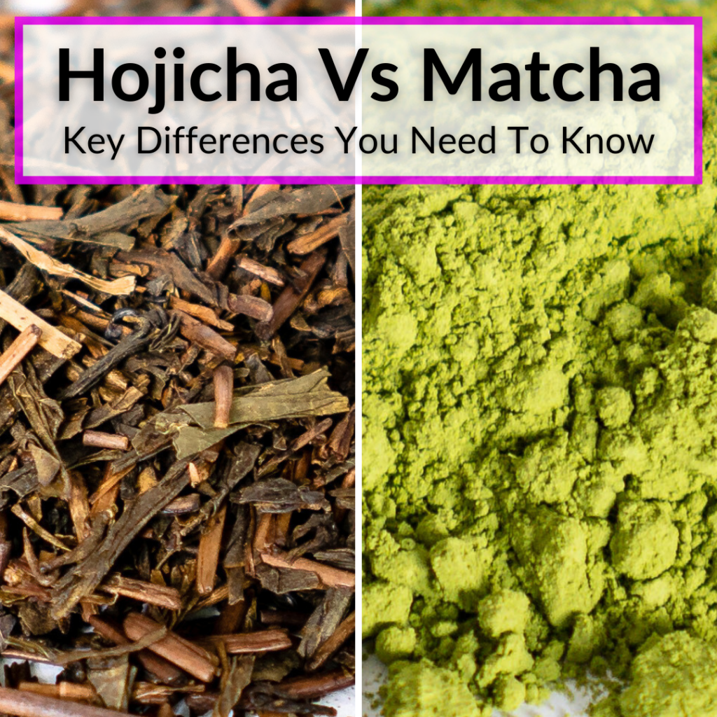 Hojicha Vs Matcha (Key Differences You Need To Know)
