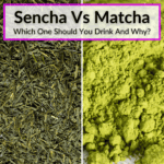 Sencha Vs Matcha