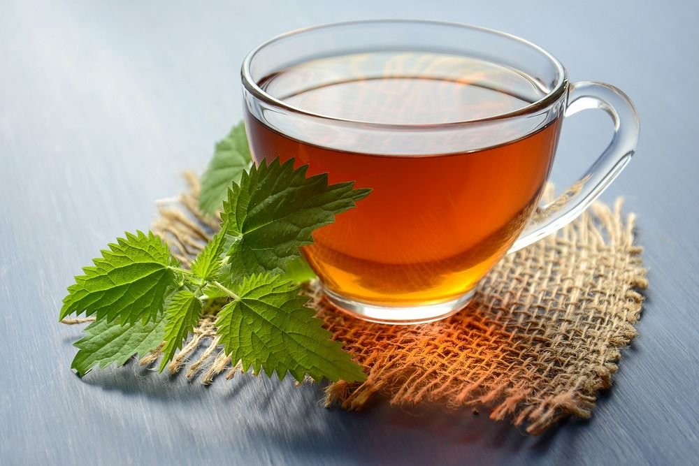 nettle tea