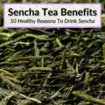 Sencha Tea Benefits